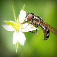 /album/exportar-abonos-si-es-posible-/photolia-a02-jpg/