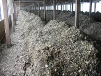 /album/exportar-abonos-si-es-posible-/descarga-jpg/